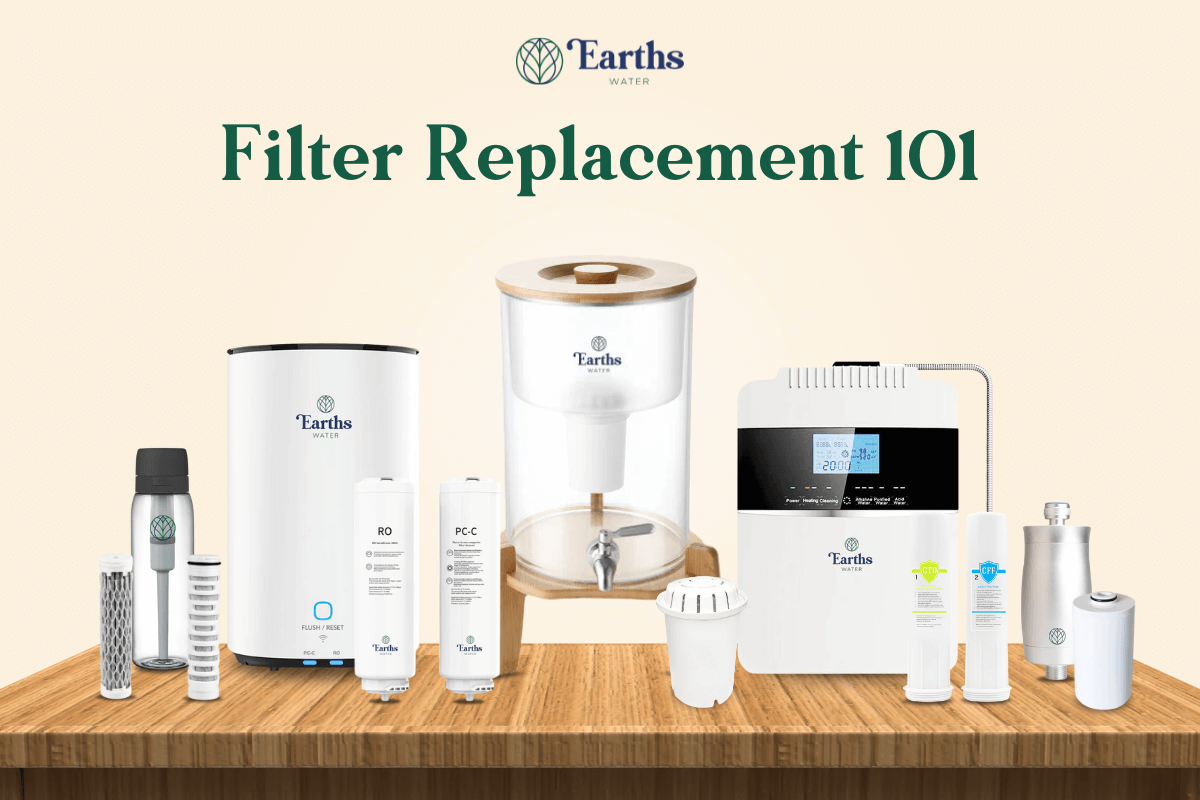 Water Filter 101: When to Replace and Why It Matters