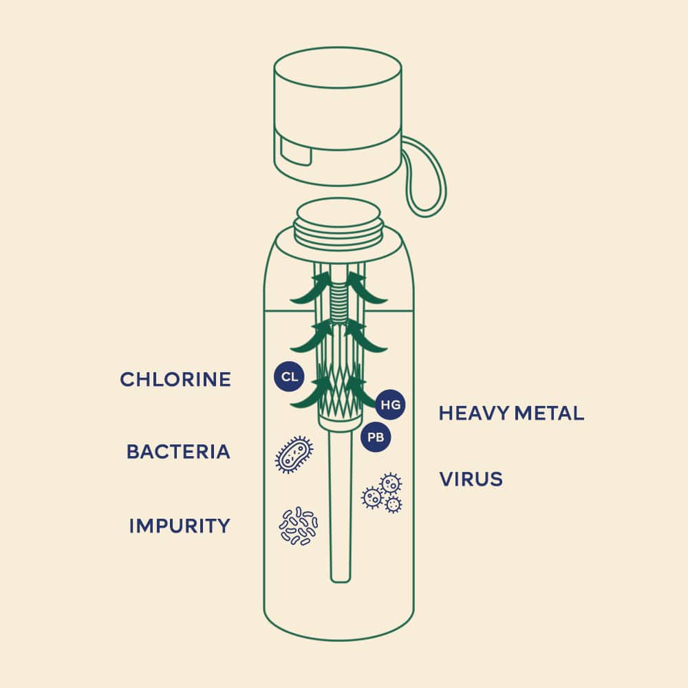Ultra Water Filter Bottle + Nature Filter