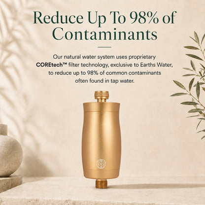 The Original Premium Shower Filter - Gold